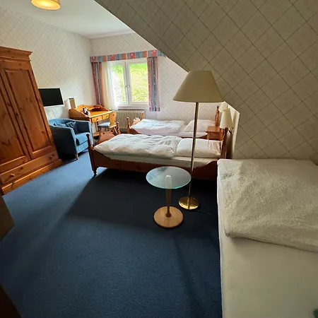 Hotell Zur Muehle *